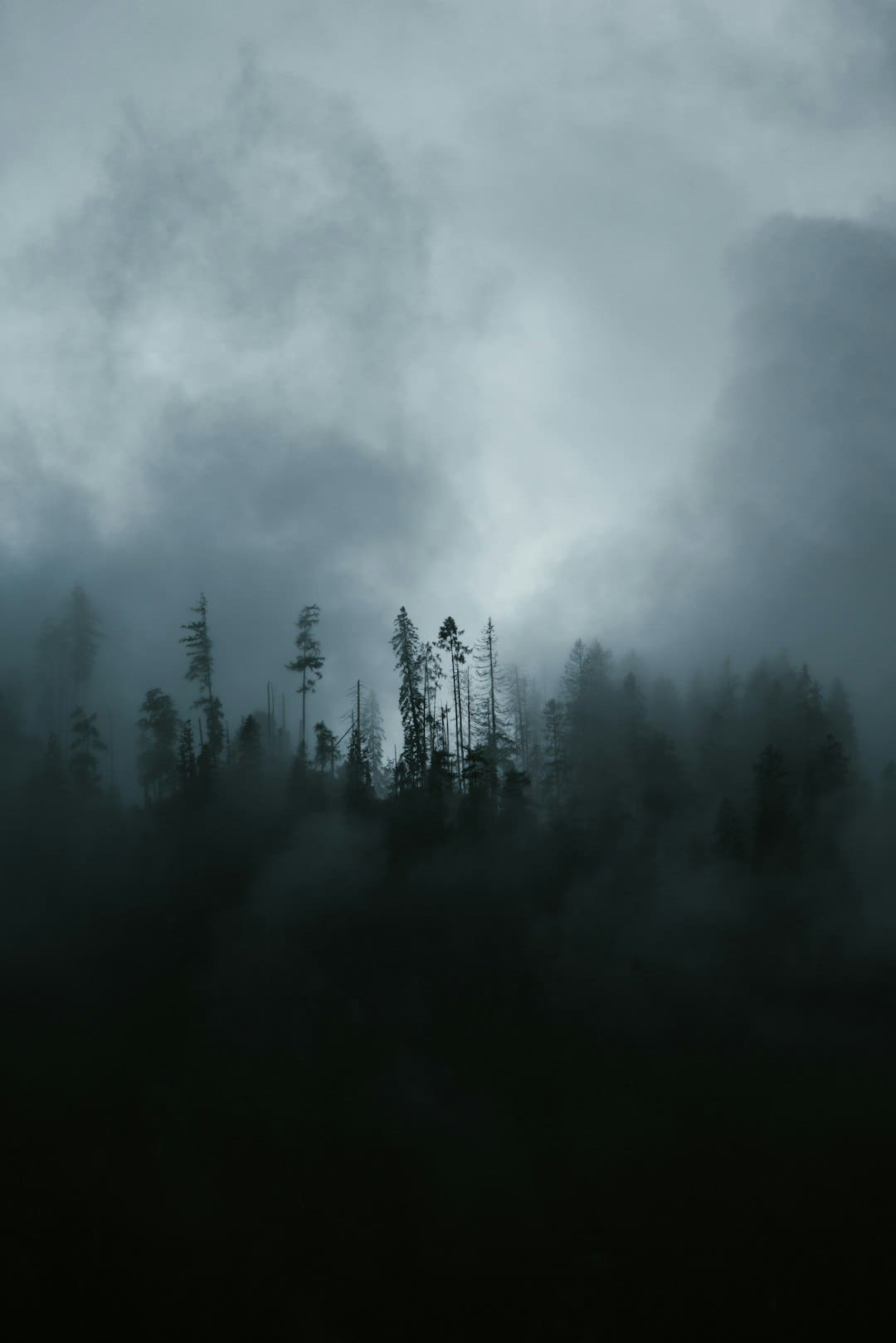 https://img0.utuku.imgcdc.com/650x0/news/20250905/5a5c9c26-a09f-4acd-9d31-f656bd150eec.jpg